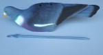 20190708_125538